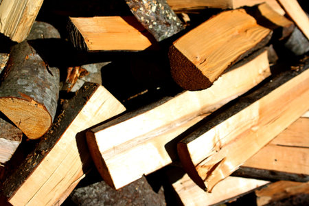 firewood rick