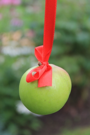 apple as decorationの写真素材