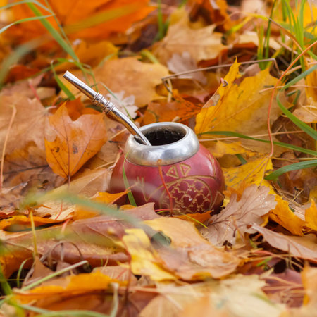 silver calabash among autumn leaves