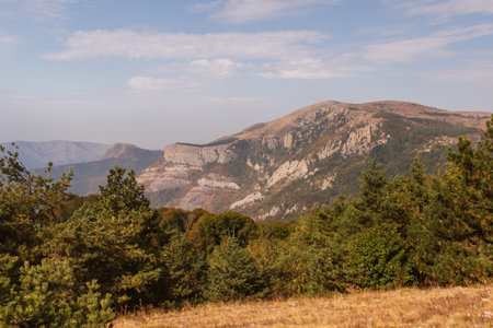 Fields at the top of the Demerdzhi rock massifの写真素材