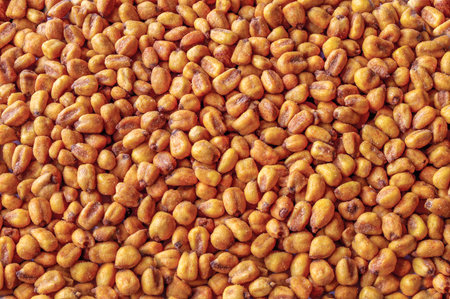 Seed backgroundの写真素材