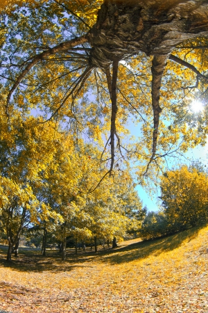 autumn park
の写真素材