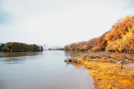 rainy autumnの写真素材
