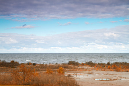 Baltic Sea Gulf of Finland in the autumnの写真素材