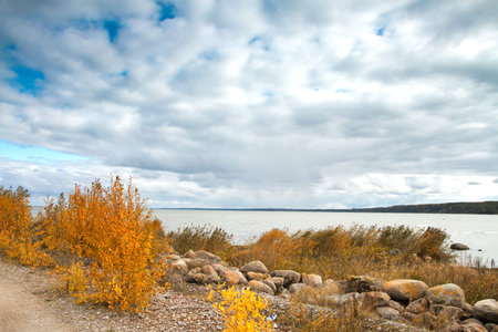 Baltic Sea Gulf of Finland in the autumnの写真素材