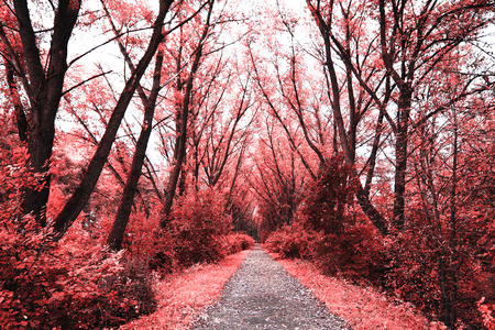 infrared spectrumの写真素材