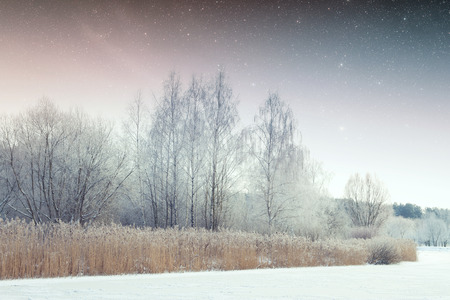 winter river at night. の写真素材