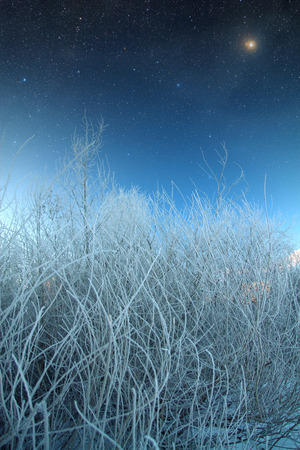 sunrise on a winter morningの写真素材