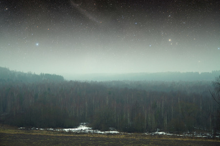 night field forest . の写真素材