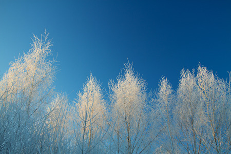 sunrise on a winter morningの写真素材