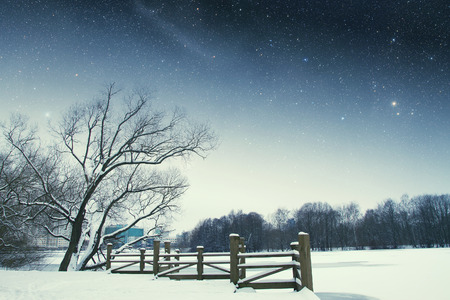 River winter night. の写真素材