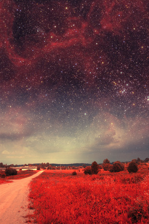 mystical road in the forest in the cloudsの写真素材