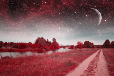 mystical spring night.の写真素材