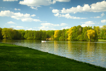 sky could be seen through the trees of the parkの写真素材