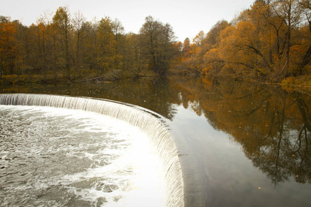 golden autumn on the lake. everything was yellow in the fall.の写真素材
