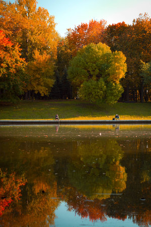 golden autumn on the lake. everything was yellow in the fall.の写真素材