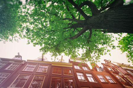 Amsterdam in summerの写真素材