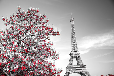 View of Eiffel tower in monochrome style with selective colorizationの写真素材