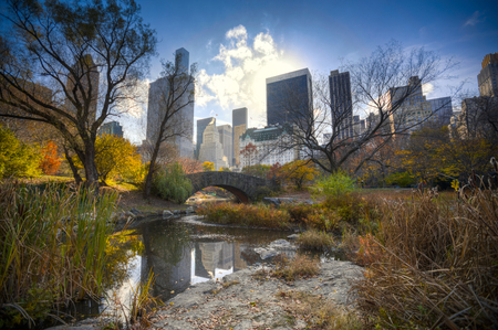 New York City Manhattan Central Park panorama in Autumn lake with skyscrapers and colorful trees with reflection.の写真素材