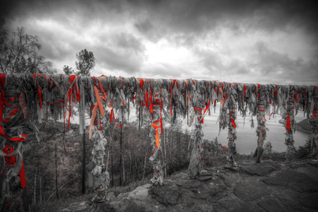 Baikal ribbons on the tree. Photo black and white with redの写真素材