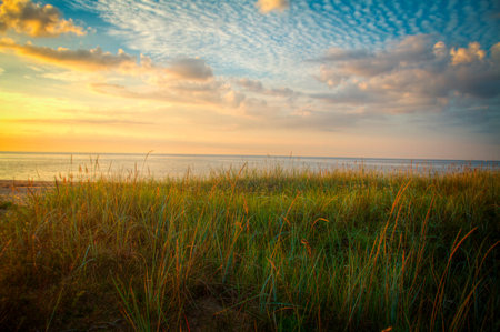 summer morning on a Baltic Sea coast
