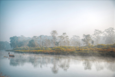 Chitwan National Park. The park is 932 sq. km, is mainly covered by jungle.の写真素材