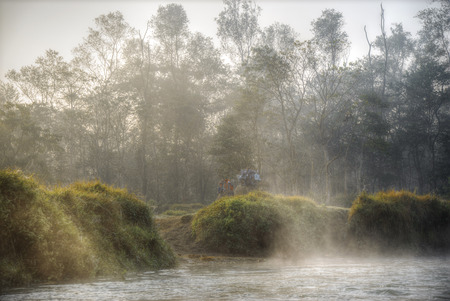 Chitwan National Park. The park is 932 sq. km, is mainly covered by jungle.のeditorial素材