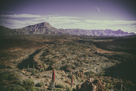 Anaga mountain in Tenerife, Spain, Europe. Picturesque placesの写真素材