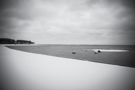 winter Baltic sea stones and a tree in the water frozen. monochrome pictureの写真素材