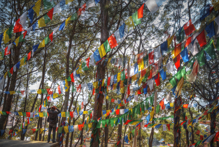 Many colorful waving prayer flags suspended between treesの写真素材