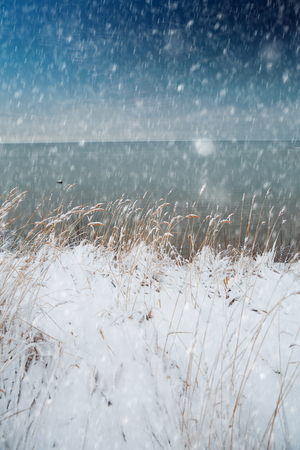 Baltic Sea in winter. snow on a background of waterの写真素材