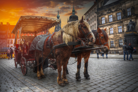 horse cart rides along Dresden. Germany. Europeの写真素材