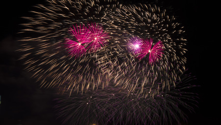 colorful fireworks in the night black skyの写真素材