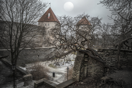 picturesque and very beautiful  photos of Tallinnのeditorial素材