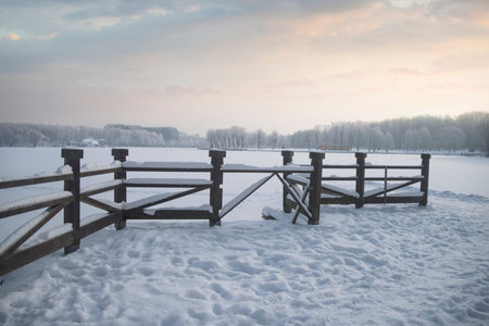 snowy winter forest and park in the city of Minsk.の写真素材
