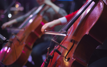 cello at a concertの写真素材
