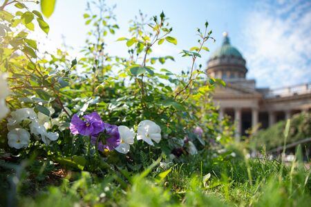 Kazan Cathedral in the city of St. Petersburg. Russia.の写真素材