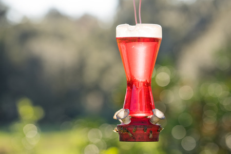 Hummingbird feeder without birds full of red nectar with bees on the bottomの写真素材