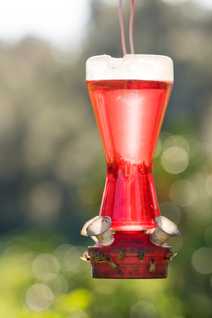 Hummingbird feeder without birds full of red nectar with bees on the bottomの写真素材