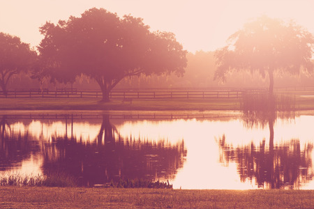 Silhouette of a lone tree and bench by lake pond water with reflection early at sunrise or sunset with   a retro vintage filter to feel inpsirational rural peaceful medatative relaxingの写真素材