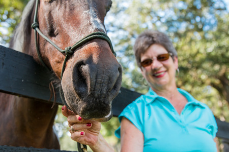 Senior elderly older woman lady smiling and happy playing with brown horse nose leaning over a fence signifying good retirement and health in old ageの写真素材