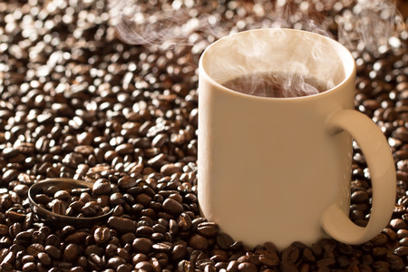 Roasted coffee beans surrounding white coffee mug cup and scoop with steam in the early morningの写真素材