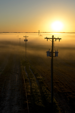 Telephone poles on a foggy misty morning at sunrise or sunset on a rural countryside farmの写真素材