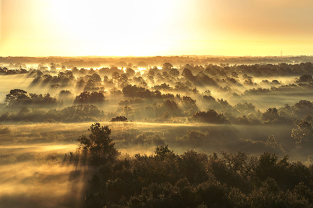 Aerial sunrise or sunset with fog or mist at the treetops in the rural countryside looking moody dramatic beautiful meditative relaxing tranquil peacefulの写真素材