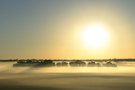 Aerial sunrise or sunset with fog or mist at the treetops in the rural countryside looking moody dramatic beautiful meditative relaxing tranquil peacefulの写真素材