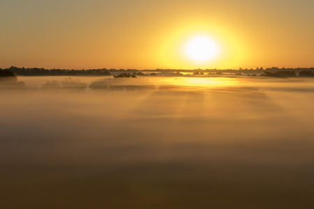 Aerial sunrise or sunset with fog or mist at the treetops in the rural countryside looking moody dramatic beautiful meditative relaxing tranquil peacefulの写真素材