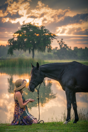 Young woman girl kneeling down in front of black Arabian horse at sunset sunrise in country rural farm setting offering friendship trust devotion loveの写真素材