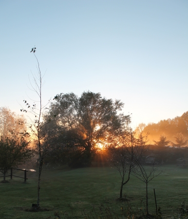 Sunrise の写真素材