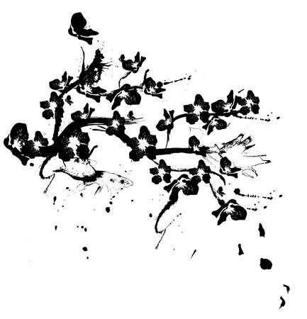 illustration with cherry tree flowers silhouette on white backgroundのイラスト素材