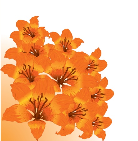 Vector floral border のイラスト素材